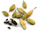cardamomo.webp