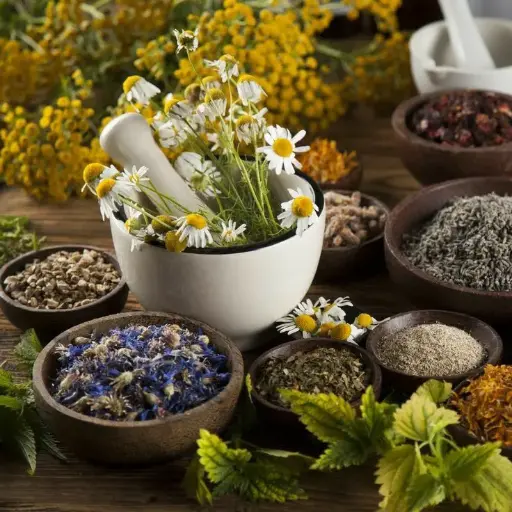 Hierbas Medicinales